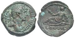 Staffieri Collection of Roman Alexandria Egypt. Alexandria. Hadrian, 117-138. Hemidrachm (Bronze, 28.66 mm, 12.58 g). Dated RY 12 (= 127/8). ΑΥΤ ΚΑΙ - ΤΡΑΙ ΑΔΡΙΑ ϹΕΒ Laureate, draped, and cuirassed bu