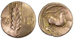 CELTIC BRITAIN: Cunobelin, ca. AD 41, AV stater (5.39g), Catuvellauni & Trinovantes, S-283, Van Arsdell-1933, CA-MV, grain ear / CVN-O, celticized horse galloping right; branch above, VF. The son of T