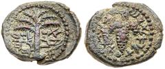 Ancient Judea Judaea, Bar Kokhba Revolt. Æ Small Bronze (6.83 g), 132-135 CE. Year 1 (132/3 CE). 'Eleazar the priest' (Paleo-Hebrew), seven-branched palm tree with two bunches of dates. Reverse: 'Year