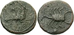Cyprus, Roman Administration. Pseudo-autonomous issue. Late 1st century B.C. Æ (16 mm, 2.47 g, 12 h). Ca. A.D. 4. Capricorn right; above, star / Scorpion; star to below. Parks 7; RPC 3916. Rare and hi