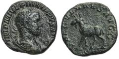Philippus I. Arabs, 244–249, Sesterz, Rom, 248, Vs.: drapierte Büste mit Lorbeerkranz n. r., Rs.: Antilope geht n. l., RIC 161, 19,03 g, R, IV