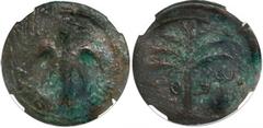 Ancient Judaea Judaea, AE middle bronze, Bar Kokhba Revolt, 132-135 AD, encapsulated NGC Choice VF, strike 4/5 and surface 3/5. Hendin-1437; TJC-291. 13.10 grams. Paleo-Hebrew Simon, seven-branched pa
