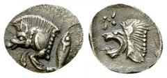 Kyzikos AR Hemiobol, c. 525-475 BC Mysia, Kyzikos. AR Hemiobol (8-10 mm, 0.41 g), c. 525-475 BC. Obv. Forepart of boar left; tunny to right. Rev. Head of roaring lion left; star in upper left field. S