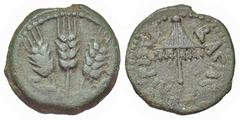 Judaea, Herodian Kingdom. Agrippa I. 37-44 C.E. AE prutah (16.9 mm, 2.84 g, 11 h). Jerusalem mint, Struck 41-42 C.E.. BACIΛEΩC AΓPIΠA, umbrella / Three ears of barley, flanked by L-ς. Hendin 1244b; Me