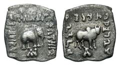 Eastern Cultures Graeco-Baktrian Kingdom. Apollodotos I. Ca. 174-165 B.C. AR square drachm (17.3 mm, 2.13 g, 12 h). Elephant standing right; monogram below / Zebu (humped bull) standing right; monogra