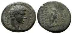 Lydia. Tripolis. Augustus 27-14 BC. Bronze Æ 20mm., 7,03g. ΣΕΒΑΣΤΟΣ, beardless head right, maeander band to left / ΤΡΙ - ΠΟΛΕΙΤΩΝ - ΑΠΟΛΛΩΝΙΟΥ / ΑΝΔΡΟΝΕΙΚΟΥ, eagle with open wings standing, head left.