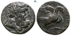 Greek Lydia. Tralleis circa 200-50 BC. Bronze Æ 16mm., 4,25g. Laureate head of Zeus right / ΤΡΑΛΛΙΑΝΩΝ, eagle standing right on thunderbolt, in right field, palm branch. very fine SNG Copenhagen 675.