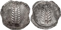 Ancient Greek Lucania, Metapontum. Stater; Lucania, Metapontum; 530-510 BC, Stater, 7.80g. Noe-25, SNG ANS-186, Sear-235. Obv: Eight-grained barley ear, with a pair of small folioles at its base; MET 
