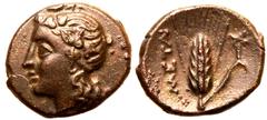 MAGNA GRAECIA. LUCANIA, METAPONTION. Bronze AE17, circa 300-250 BC. Obv: ivy-wreathed head of Dionysos left. Rev: grain ear with leaf right; META upwards to left, cross-torch above leaf. Extremely Fin