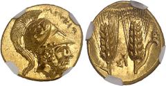 GRÈCE ANTIQUE Lucanie, Métaponte. Tiers de statère d'Or ou tétrobole ND (290-280 av. J.-C.), Métaponte.NGC Ch MS 5/5 4/5 Fine style (2130992-007). Av. ΛΕΥΚΙΠ[ΠΟΣ]. Tête barbue de Leucippe à droite, av