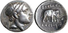 Greek Silver & Bronze Coins Syria, kings of, Antiochos III, (223-187 B.C.), silver drachm (3.84 g), Apameia on the Orontes(?) mint, struck c.223-211 B.C.), obv. diademed head right, rev. elephant walk