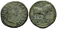Celtiberian Coins Augustus period. Unit. 27 BC - 14 AD. Cañaveradas (Cuenca). (Abh-1277). (Acip-3186). Anv.: AVGVSTVS. DIVI. F. Laureate head of Augustus right. Rev.: Bull right, curved tail, MVN abov