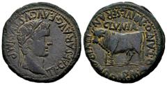 Celtiberian Coins Clunia. Time of Tiberius. Unit. 37-41 AD. Coruña del Conde (Burgos). (Abh-836). (Acip-3172). Anv.: TI. CAESAR. AVG. E AVGVSTVS. IMP. Laureate head of Tiberius right. Rev.: Bull left,
