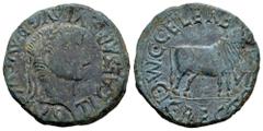 Celtiberian Coins Calagurris. Time of Tiberius. Unit. 14 - 36 BC. Calahorra (La Rioja). (Abh-430). (Acip-3130). Anv.: TI. CAESAR. DIVI. AVG. F.AVGVSTVS. Laureate head of Tiberius right. Rev.: Bull rig