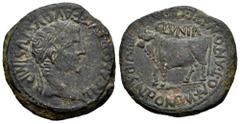 Celtiberian Coins Clunia. Time of Tiberius. Unit. 37-41 AD. Coruña del Conde (Burgos). (Abh-836). (Acip-3172). Anv.: TI. CAESAR. AVG. E AVGVSTVS. IMP. Laureate head of Tiberius right. Rev.: Bull left,