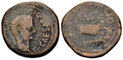 Celtiberian Coins Arse-Saguntum. Time of Tiberius. Unit. 14-36 AD. Sagunto (Valencia). (Abh-2091). (Acip-3237). Anv.: TI. CAESAR. DIVI. AVG. F. AVG. around head of Tiberius right. Rev.: Ship, SAG abov