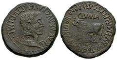 Celtiberian Coins Clunia. Time of Tiberius. Unit. 37-41 AD. Coruña del Conde (Burgos). (Abh-838). (Acip-3174). Anv.: TI. CAESAR. AVG. E AVGVSTVS. IMP. Laureate head of Tiberius right. Rev.: Bull left,