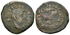 Celtiberian Coins Clunia. Time of Tiberius. Half unit. 37-41 AD. Coruña del Conde (Burgos). (Abh-842). (Acip-3173). Anv.: TI. CAESAR. AVGVSTI. F. Laureate head of Tiberius right. Rev.: Boar right, CLV