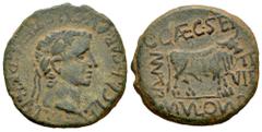 Celtiberian Coins Turiaso. Time of Tiberius. Unit. 27 BC - 14 AD. Tarazona (Zaragoza). (Abh-2452). (Acip-3290). Anv.: TI. CAESAR. AVGVST. F. IMPERAT. around laureate head of Tiberius right. Rev.: Bull