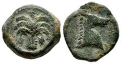 Greek Coins North Africa. Carthage. AE 20. 340-320 BC. Uncertain mint in Sicily. (CNP-255). (MAA-20). (Tesorillo-Cartago 2, Plate Coin). Anv.: Palm tree with two date clusters within circular linear b