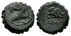 Greek Coins Seleukid Kingdom. Demetrios I Soter. AE 16. 162-150 BC. Antioch on the Orontes. (SC-1646). (Hgc-9, 833). (Tesorillo-Siria 7, Plate Coin). Anv.: Head of horse to left. Rev.: Head of elephan