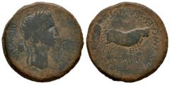 Celtiberian Coins Caesaraugusta. Augustus period. Unit. 27 BC - 14 AD. Zaragoza. (Abh-321). (Tesorillo-Caesaraugusta 43, Plate C). Anv.: AVGVSTVS. (DIVI. F). Laureate head of Augustus right, lituus an