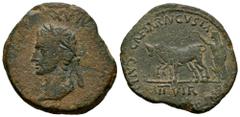 Celtiberian Coins Caesaraugusta. Augustus period. Unit. 27 BC - 14 AD. Zaragoza. (Abh-326). (Tesorillo-Caesaraugusta 41, mismo e). Anv.: (AVGVSTVS. DIVI. F. COS. XI. DES. XII. PON). MAX. around laurea