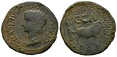 Celtiberian Coins Caesaraugusta. Time of Caligula. Unit. 37-41 AD. Zaragoza. (Abh-391). (Acip-3100). (Tesorillo-Caesaraugusta 5, Plate Co). Anv.: G. CAESAR. AVG. GERMANICVS. IMP. Laureate head of Cali