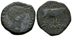 Celtiberian Coins Cascantum. Time of Tiberius. Unit. 14-36 BC. Cascante (Navarra). (Abh-690). (Acip-3159). (Tesorillo-Cascantum 20, Plate Coin). Anv.: TI. CAESAR. DIVI. AVG. F. AVGVSTVS. Laureate head