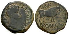 Celtiberian Coins Erkauika- Ercavica. Augustus period. Unit. 27 BC - 14 AD. Cañaveradas (Cuenca). (Abh-1277). (Acip-3186). (Tesorillo-Ercavica 39, Plate Coin). Anv.: AVGVSTVS. DIVI. F. Laureate head o