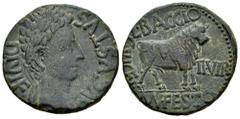 Celtiberian Coins Kelse-Celsa. Augustus period. Unit. 27 BC - 14 AD. Velilla de Ebro (Zaragoza). (Abh-809). (Acip-3164). Anv.: AVGVSTVS. DIVI. F. Laureate head of Augustus right. Rev.: Bull standing r
