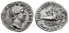 Roman Imperial Hadrian. Drachm. CY 164 = 132/3 AD. Pontus. Amisos. (RPC-III 1252). (Sng Bn-1515/17). Anv.: ΑΥΤ ΚΑΙ ΤΡΑ ΑΔΡΙΑΝΟϹ ϹΕΒ Π Π ΥΠ Γ. Laureate bust right, with slight drapery. Rev.: ΑΜΙϹΟΥ ΕΛΕ