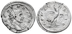 Roman Imperial / Imperio Romano Trajano Decio. Antoniniano. 250-251 d.C. Roma. (Spink-9470). (Ric-85a). Anv.: DIVO TRAIANO. Cabeza de Trajano a derecha. Rev.: CONSECRATIO. Águila. Ag. 4,20 g. Restituc