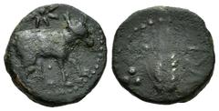Celtiberian Coins / Hispania Antigua Ituci. Semis. 150-50 a.C. Tejada la Vieja (Sevilla). (Abh-1608). Anv.: Toro a derecha, encima estrella. Rev.: Espiga a derecha, debajo ITVCI. Ae. 3,55 g. Escasa. M