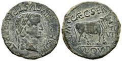 Ancient Hispania / Hispania Antigua Turiasu. Unit. 14-36 d.C. Tarazona (Zaragoza). Times of Tiberio. (Abh-2451). Anv.: Tiberius' head to right, around TI CAESAR AVGVST F IMPERATOR. Rev.: Bull to right