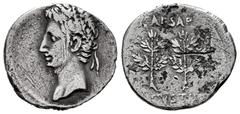 Roman Imperatorial Augustus. Denarius. 19-18 BC. Caesar Augusta (Zaragoza). (Ffc-31). (Ric-33b). (Cal-708). Anv.: Head laureate or oak of Augustus left. Rev.: CAESAR AVGVSTVS above and below two laure