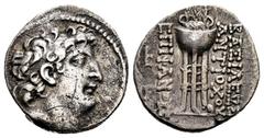 Greek Coins Seleukid Kingdom. Antiochos VIII Epiphanes (Grypos). Drachm. 109-96 BC. Antioch on the Orontes. (SC-2310b). Anv.: Diademed head of Antiochos VIII to right . Rev.: BAΣIΛEΩΣ / ANTIOXOY - EΠI