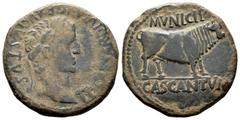 Celtiberian Coins Cascantum. Time of Tiberius. Unit. 14-36 AD. Cascante (Navarra). (Abh-690). Anv.: TI. CAESAR. DIVI. AVG. F. AVGVSTVS. Laureate head of Tiberius right. Rev.: Bull right, MVNICIP above