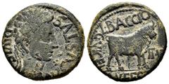 Celtiberian Coins Kelse-Celsa. Augustus period. Unit. 27 BC - 14 AD. Velilla de Ebro (Zaragoza). (Abh-809). Anv.: AVGVSTVS. DIVI. F. Laureate head of Augustus right. Rev.: Bull standing right, legend 