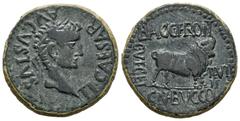 Celtiberian Coins Kelse-Celsa. Time of Tiberius. Unit. 14-36 AD. Velilla de Ebro (Zaragoza). (Abh-819). (Acip-3170). Anv.: TI. CAESAR. AVGVSTVS. Laureate head of Tiberius right. Rev.: Bull right, BACC