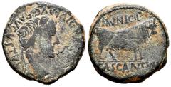 Celtiberian Coins Cascantum. Time of Tiberius. Unit. 14-36 AD. Cascante (Navarra). (Abh-691). Anv.: TI. CAESAR. DIVI. AVG. F. AVGVSTVS. Laureate head of Tiberius right. Rev.: Bull right, MVNICIP above
