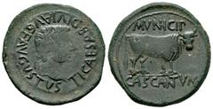 Celtiberian Coins Cascantum. Time of Tiberius. Unit. 14-36 d.C. Cascante (Navarra). (Abh-690). Anv.: TI. CAESAR. DIVI. AVG. F. AVGVSTVS. Laureate head of Tiberius right. Rev.: Bull right, MVNICIP abov