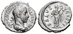 Roman Imperial Severus Alexander. Denarius. 233-235 AD. Rome. (Ric-176). Anv.: IMP C MAVR SEV ALEXAND AVG, laureate and draped bust right. Rev.: SALVS AVGVST, Salus standing right, feeding snake which