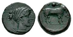 Greek Coins Sicily. Nakone. Onkia. Century V BC. (Calciati-2). (SNG Morcom-647). Anv.: Female head right, hair bound with cord, wearing necklace; (NAKONAIO)N around. Rev.: Goat standing right; grape b