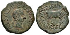 Celtiberian Coins Calagurris. Augustus period. Unit. 27 BC - 14 AD. Calahorra (La Rioja). (Abh-422). Anv.: IMP. CAESAR. AVGVSTVS. P.P. Laureate head of Augustus right. Rev.: Bull right, C. SEMP. BARBA