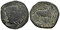 Celtiberian Coins Turiaso. Augustus period. Unit. 27 BC - 14 AD. Tarazona (Zaragoza). (Abh-2454). Anv.: TI. CAESAR. AVGVST. F. IMPER. around laureate head of Tiberius right. Rev.: Bull right, L. CAEC.