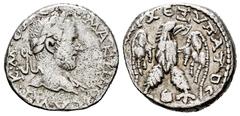 Roman Imperial Macrinus. Edessa. Tetradrachm. 217-218 AD. Mesopotamia. (Prieur-No cita). Anv.: AY•KM•OΠ CEY MAKPЄINOC CЄ, Laureate bust right. Rev.: (ΔHMAP)X ЄΞ YΠATOC, eagle standing facing, head rig