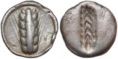 Ancient coins from collection of Bartosz Awianowicz Grecja, Lukania, Metapont (470-440 p.n.e.) NomosAwers: Kłos zboża z 6 ziarnami.Rewers: Negatyw kłosa zboża z 7 ziarnami.Srebro, średnica: 22,0-21,6 