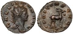 Ancient Coins Gallienus (258-268 AD) Antoninian, Rome - goatObverse: GALLIENVS AVGRadiate bust right. Reverse: IOVI CONS AVG / SGoat right. Bilon, diameter 19,1 x 21,6 mm, weight 3,45 g. Awers: Popier
