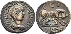 The Plankenhorn Collection: Mysia MYSIA. Parium. Valerian II, Caesar, 256-258. Assarion (Bronze, 19 mm, 4.87 g, 7 h). VALERIANVS NOBIL CAES Laureate and draped bust of Valerian II to right, seen from 